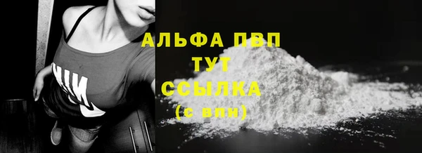 стафф Осташков