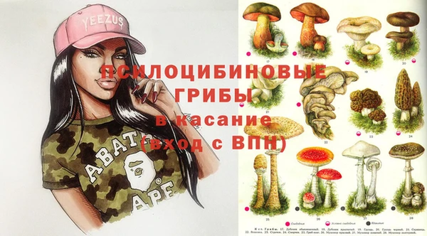 стафф Осташков