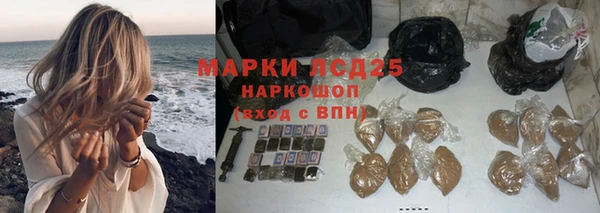 стафф Осташков