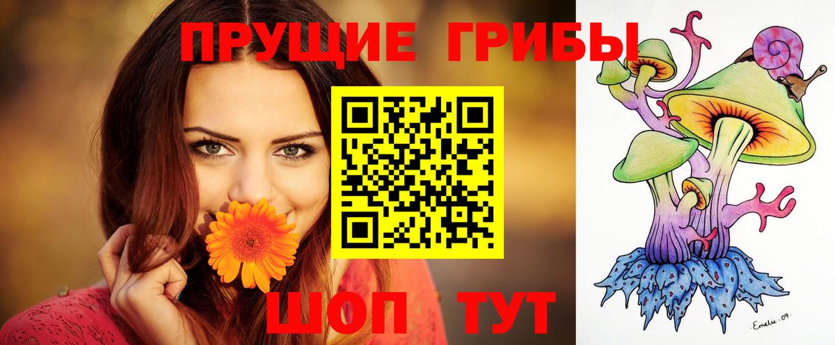 Кировск  Псилоцибиновые грибы GOLDEN TEACHER  Вход с VPN 